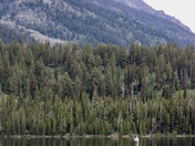 Grand Teton National Park