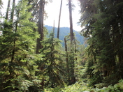 Olympic National Park