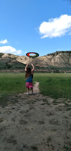 Theodore Roosevelt National Park 