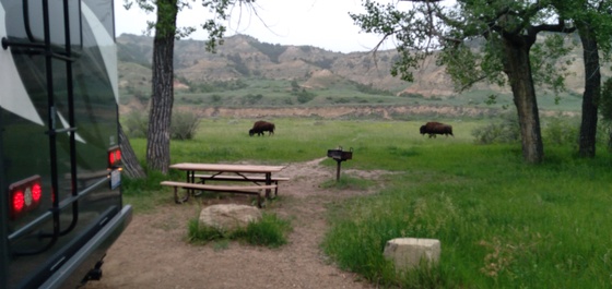 Theodore Roosevelt National Park 