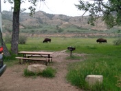 Theodore Roosevelt National Park 