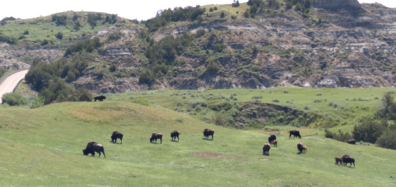 Theodore Roosevelt National Park 
