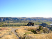 Theodore Roosevelt National Park