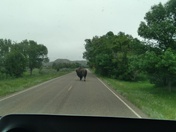 Theodore Roosevelt National Park 