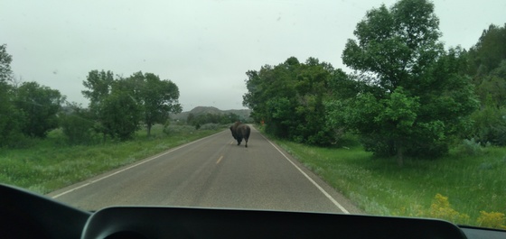 Theodore Roosevelt National Park 