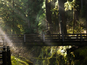 Olympic National Park