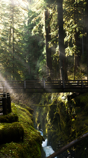 Olympic National Park