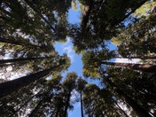 Olympic National Park