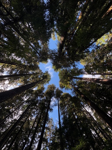 Olympic National Park