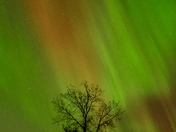 Epping/Springbrook Dam