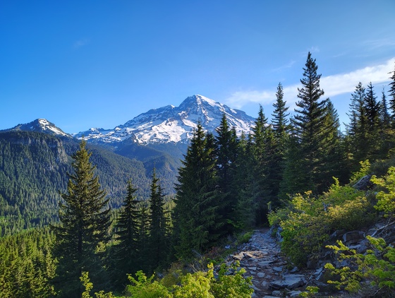 Mount Rainier National Park