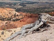 Bryce Canyon National Park