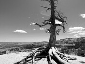 Bryce Canyon National Park