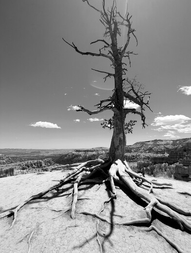 Bryce Canyon National Park