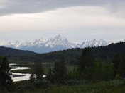 Bridger Teton National Forest