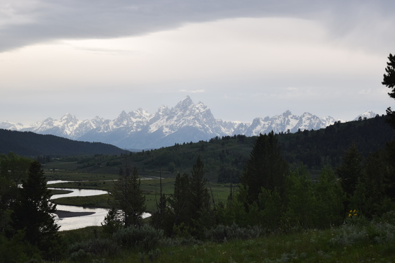 Bridger Teton National Forest