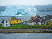 Backyard Iceberg Newfoundland
