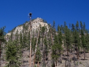 Black Hills National Forest
