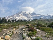 Mount Rainier National Park