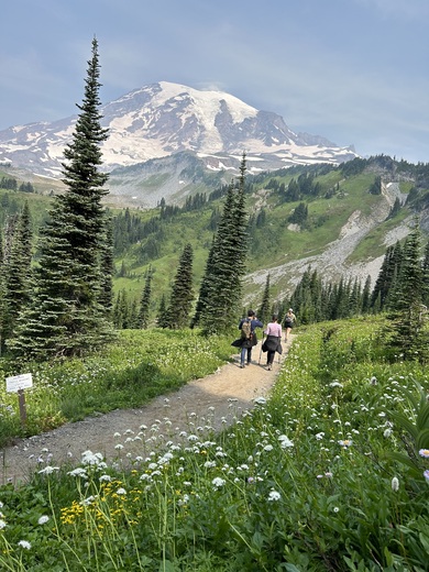 Mount Rainier National Park