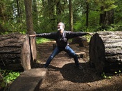 Quinault Rainforest Trail