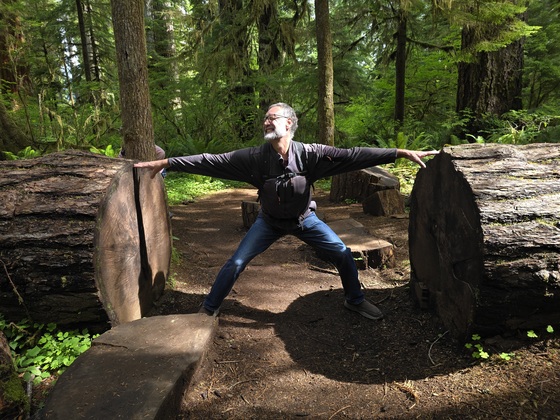 Quinault Rainforest Trail