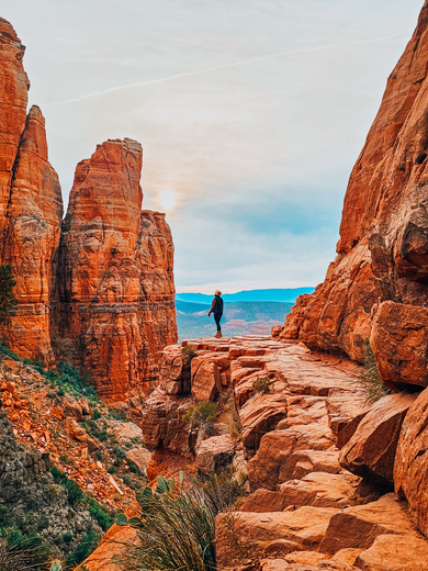 Coconino National Forest 