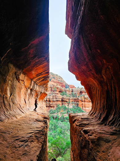 Coconino National Forest 