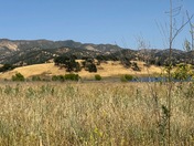 Berryessa Snow Mountain National Monument