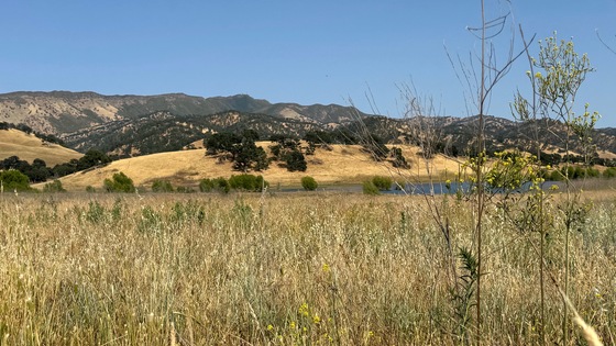 Berryessa Snow Mountain National Monument