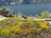 Yosemite National Park