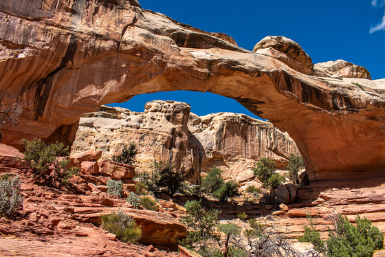 Capitol Reef National Park