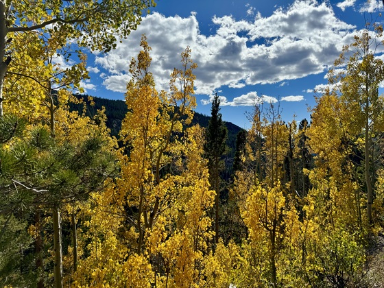 Rocky Mountain National Park
