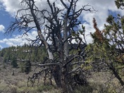 Craters of the Moon National Monument and Preserve