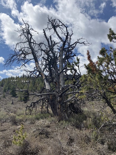 Craters of the Moon National Monument and Preserve