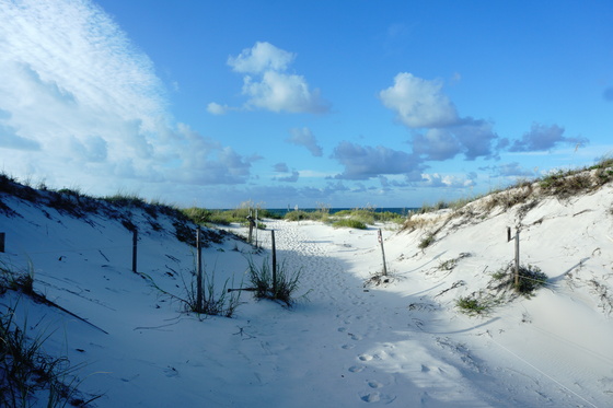 Bon Secour National Wildlife Refuge