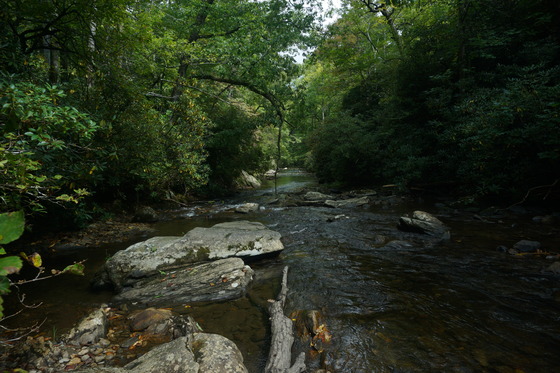 North Mills River Campground