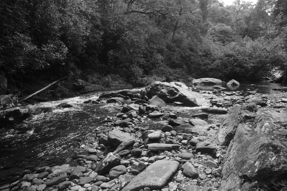 North Mills River Campground