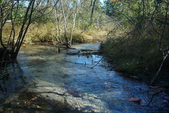 Carolina Sandhills National Wildlife Refuge