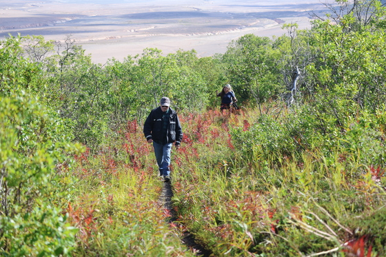 Katmai National Park and Preserve