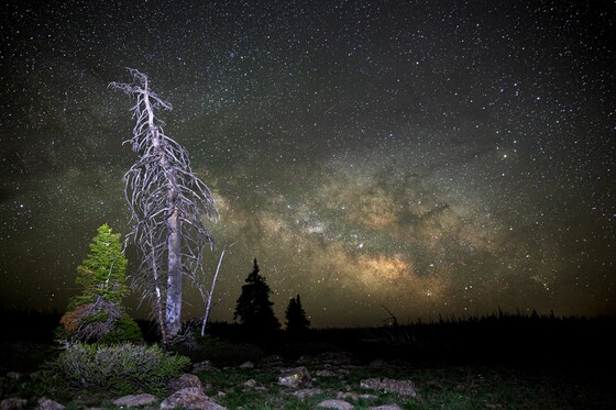 Cedar Breaks National Monument