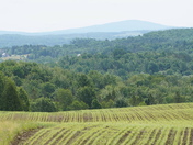 Landscape of my region