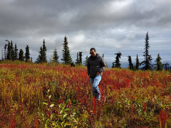 Denali National Park