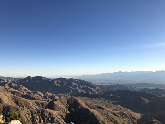 Joshua Tree National Park