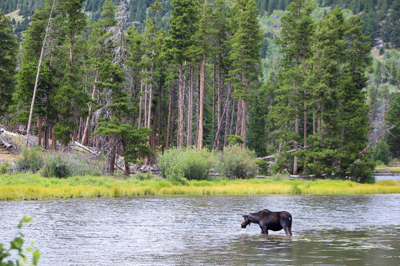 Rocky Mountain National Park 