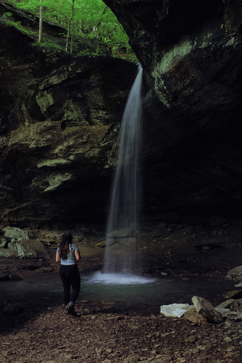 Ozark- St. Francis National Forest 