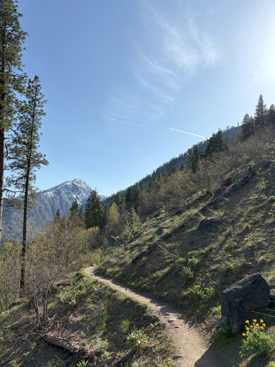 Okanogan-Wenatchee National Forest