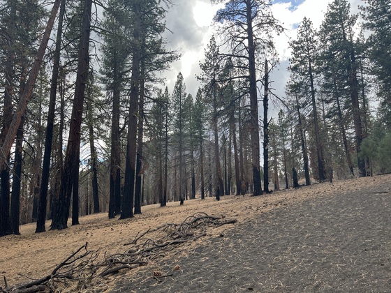 Lassen Volcanic National Park