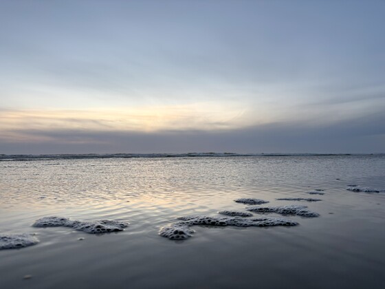 Kalaloch Beach