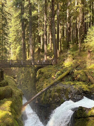 Sol Duc Falls